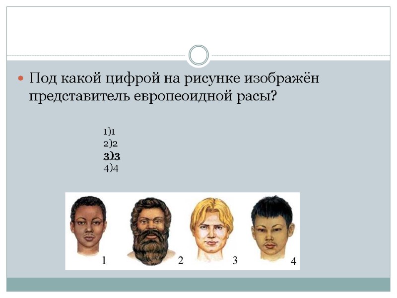 Под какой цифрой на рисунке изображён представитель европеоидной расы? 1)1 2)2 3)3 4)4